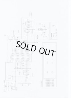 画像5: 温度スイッチ2CHタイプ　完成品