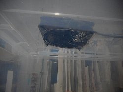 画像3: 送風機付ゲージ